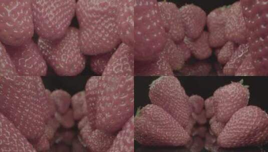 草莓微距LOG高清在线视频素材下载