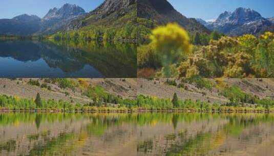 秋天山川湖泊白桦林高清在线视频素材下载