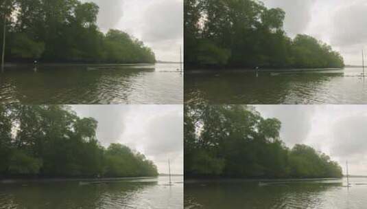 河水水流河流水鸟自然高清在线视频素材下载