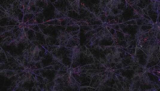 神经元互相交流高清在线视频素材下载
