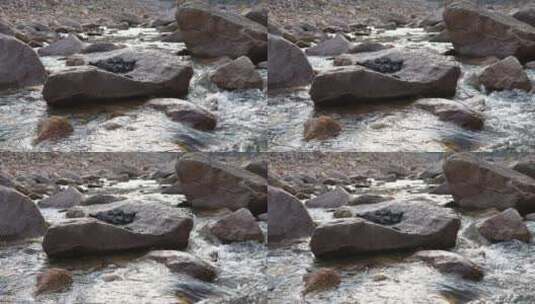 石头间的溪水高清在线视频素材下载