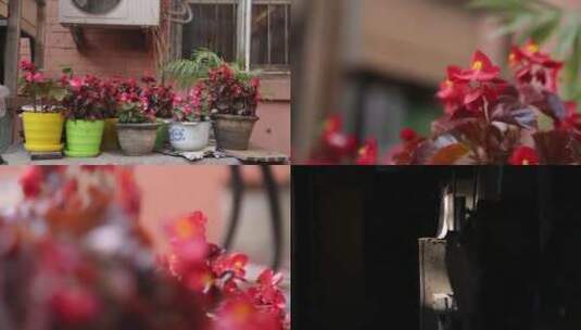 老小区场景晾晒被子花盆生活场景高清在线视频素材下载