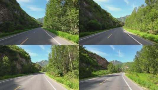 开车视角行驶在森林小路中高清在线视频素材下载