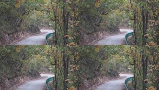 秋天山林中的小路高清在线视频素材下载