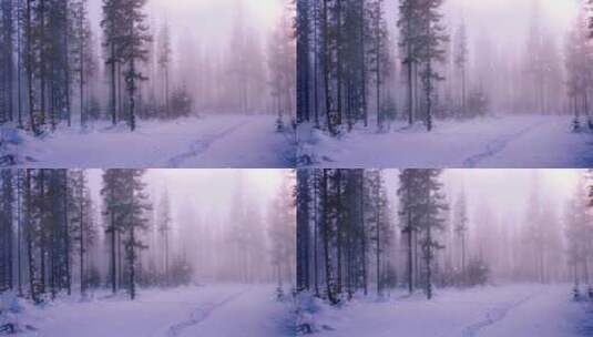 雪花飘落在松树林 慢镜头 特写高清在线视频素材下载
