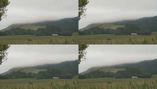薄雾笼罩的山丘景观高清在线视频素材下载