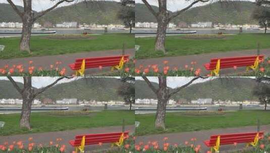 公园的长椅高清在线视频素材下载