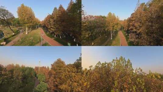 城市公园树木航拍升格高清在线视频素材下载
