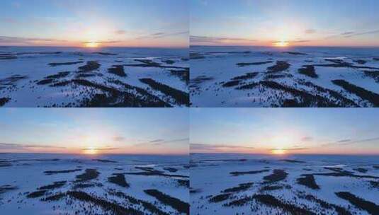 航拍呼伦贝尔生长樟子松的雪原暮色高清在线视频素材下载