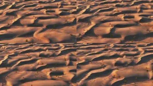 波浪般的金色沙漠高清在线视频素材下载