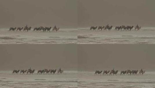 沙漠中骑着骆驼前行的人高清在线视频素材下载