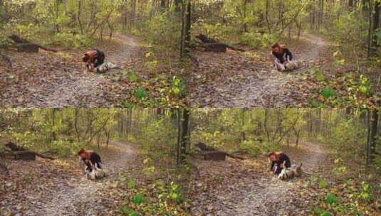 可爱的女孩在秋天的森林里玩宠物美国斯塔福德郡梗高清在线视频素材下载
