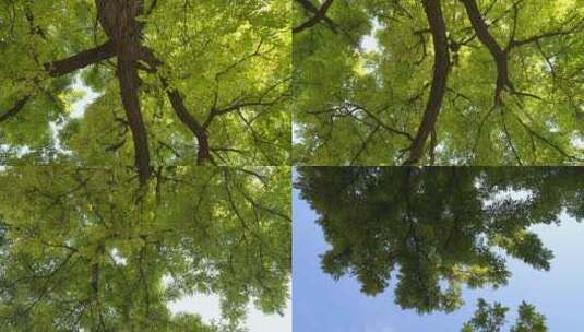 晾马台遗址明月禅寺 晾马台遗址 明月禅寺高清在线视频素材下载