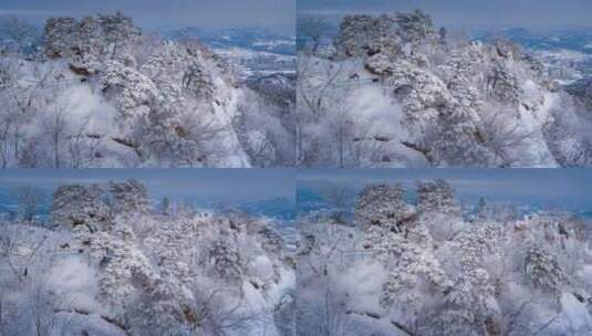 自然风光雪山雾凇高清在线视频素材下载