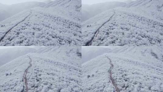 4K航拍天目山脉龙王山雾凇雪景风光高清在线视频素材下载