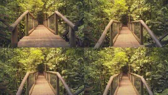 美丽的悬索木桥高清在线视频素材下载