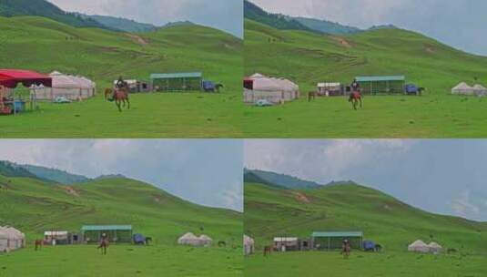 新疆唐布拉草原游牧人家高清在线视频素材下载