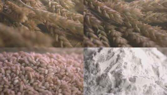 面粉生产高清在线视频素材下载