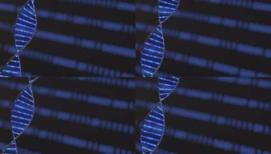 DNA 3D动画，科学和医学概念，二进制高清在线视频素材下载