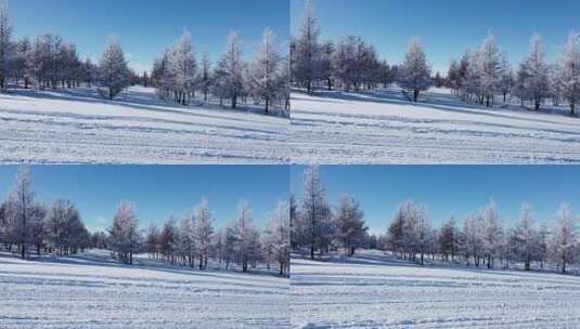 积雪覆盖树木的冬日户外雪景高清在线视频素材下载