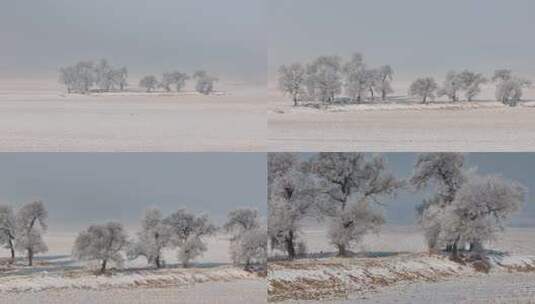 被雪覆盖的空旷田野和树木景象高清在线视频素材下载