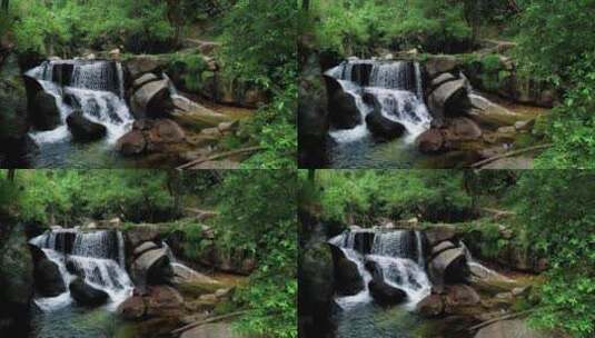 4k森林雨林小溪河流美景自然高清在线视频素材下载