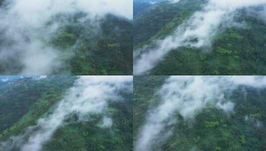 4K云雾缭绕的森林高清在线视频素材下载