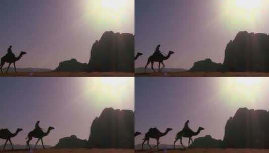 中沙特沙漠中一列骆驼火车直接越过高清在线视频素材下载