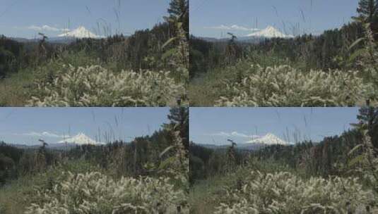 远处的山和近处的草地景观高清在线视频素材下载
