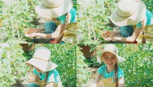 小女孩在菜园里查看蔬菜高清在线视频素材下载