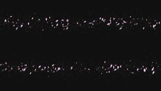 荷叶花瓣粒子前景装饰视频素材带通道高清在线视频素材下载