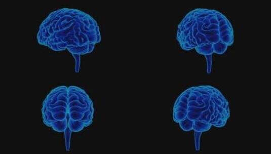 医学 大脑 脑科学 三维 脑ct1 模型高清在线视频素材下载