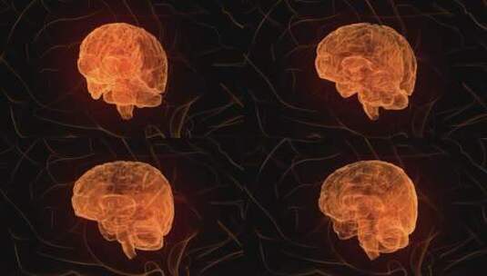 医学 大脑 脑科学 三维 脑ct1 模型高清在线视频素材下载