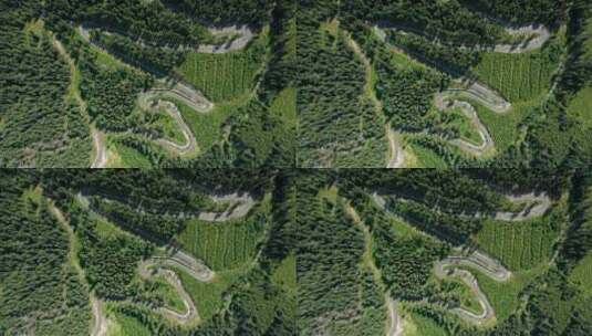 从空中俯瞰穿过森林的曲折小路高清在线视频素材下载