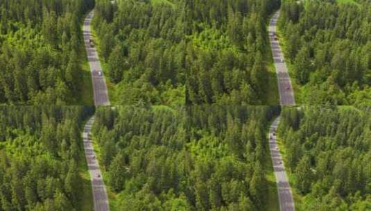 在森林公路中行驶的汽车高清在线视频素材下载