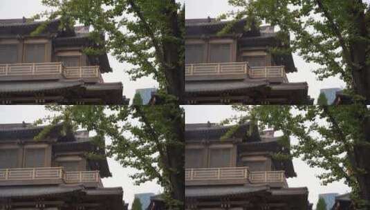 杭州大兜路香积寺禅院建筑视频高清在线视频素材下载