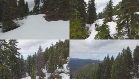在阴天飞过白雪覆盖的森林高清在线视频素材下载