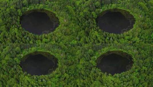 原始密林中的圆形湖泊高清在线视频素材下载