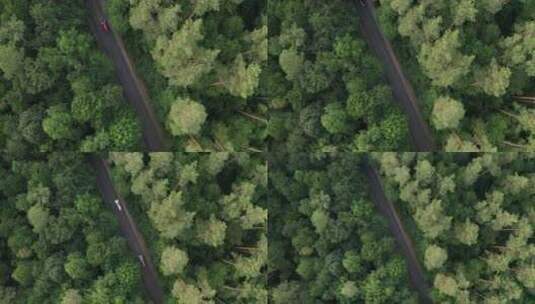 航拍汽车驶过森林公路高清在线视频素材下载