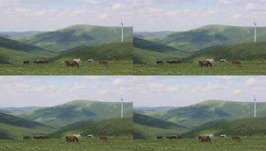 内蒙古草原 牛群高清在线视频素材下载