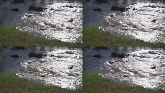 翻滚奔腾的河水高清在线视频素材下载