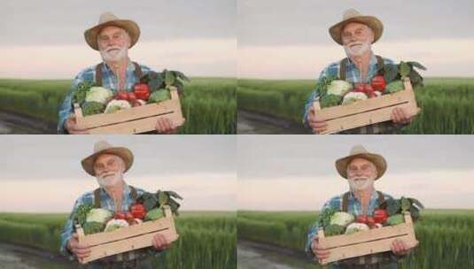 手捧蔬菜盒子的农民高清在线视频素材下载
