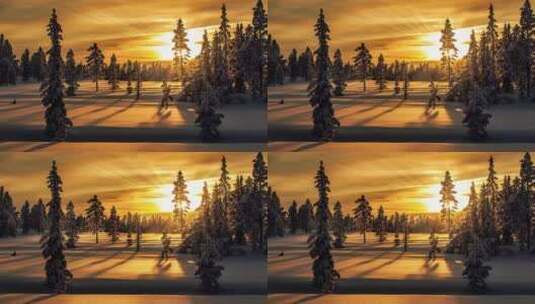 日出日落 积雪覆盖下的森林美景特写高清在线视频素材下载
