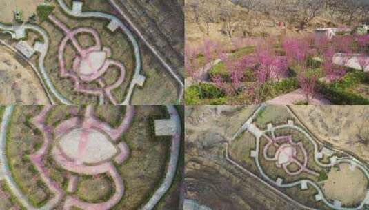 丘比特一箭双心形状的梅花园高清在线视频素材下载