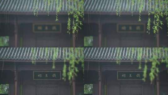 杭州钱王祠春天清明节雨天古建筑自然唯美高清在线视频素材下载