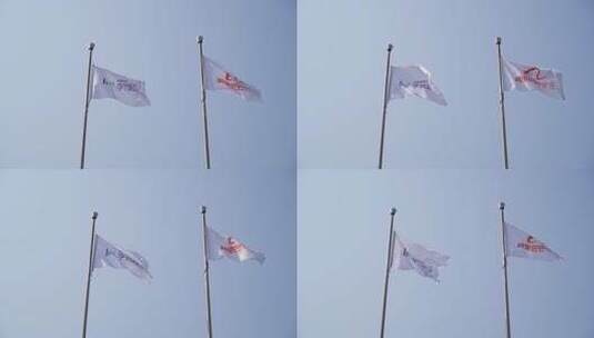 阿里巴巴和字节跳动旗帜高清在线视频素材下载