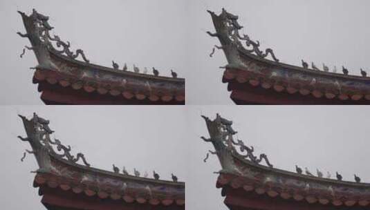 古建筑屋檐上的鸽子站在房檐燕尾脊上的鸽子高清在线视频素材下载