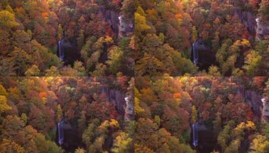 秋季唯美彩林 秋景高清在线视频素材下载