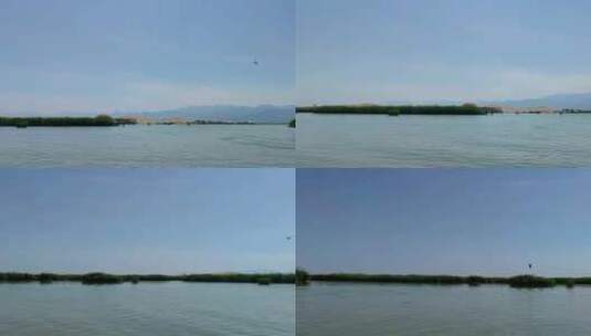 宁夏石嘴山沙湖旅游景区湿地游船观鸟高清在线视频素材下载