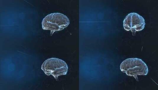 大脑器官3d人体器官高清在线视频素材下载